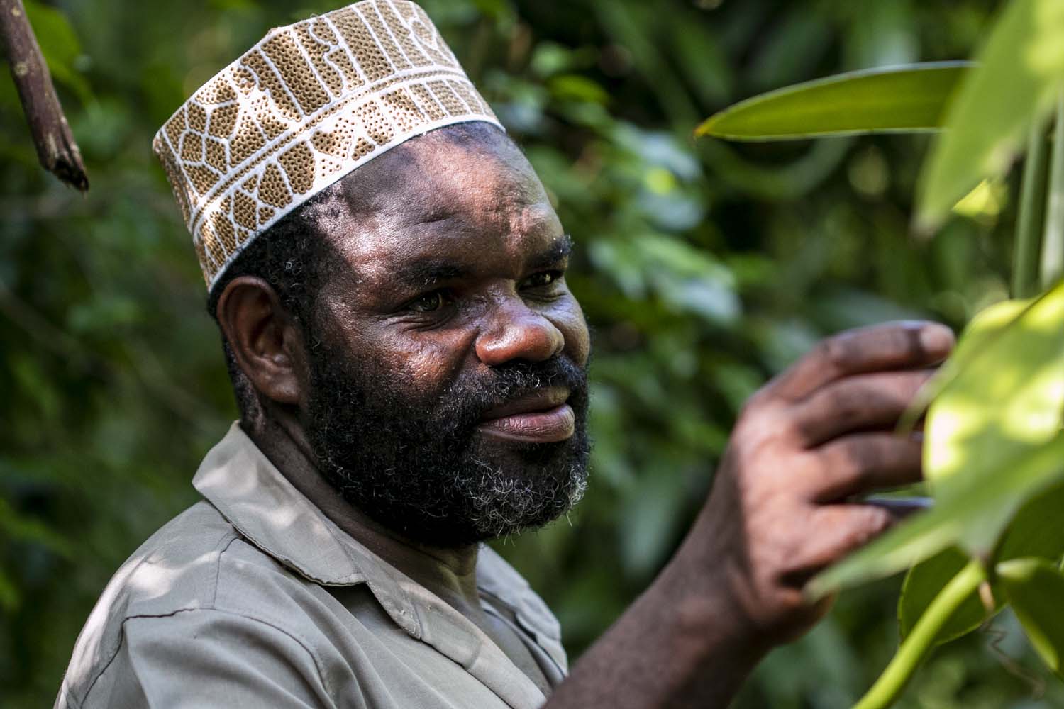 Tanzanie, Zanzibar, Pemba, démarche éthique et responsable, épices de terroir, single origin spices, méthode artisanale, développement durable, vanille biologique, piment biologique, poivre biologique, cannelle biologique, épices paris, épices en vrac, épices sourcées en direct des petits producteurs, épices biologiques, épices bio